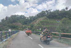 Warga Susup Bengkulu Tengah Jualan Durian di Kepahiang 