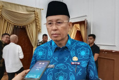 Hibah Kompensasi Dunia Penurunan Emisi Karbon di Bengkulu Tunggu Penyusunan Dokumen