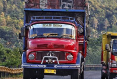 Mercy Bagong : Truk Legenda Paling Laris di Indonesia, Ini Alasannya