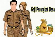Soal Gaji Perangkat Desa, PPDI Bengkulu Tengah Tunggu Kebijakan Bupati