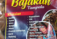 Khasiat Akar Kayu Bajakah untuk Kesehatan Tubuh, Digunakan Suku Dayak untuk Obat Tradisional