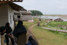 Sekolah Energi Bersih Dorong Pemahaman Generasi Muda Cegah Abrasi Pantai