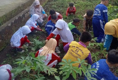 SDN 11 Kepahiang Memulai Program P5 Lewat Kegiatan Ini