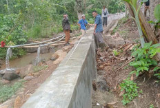 Pemdes Langgar Jaya Bangun Tanggul untuk Antisipasi Banjir