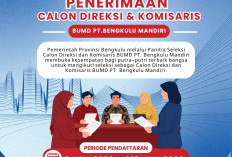 Pemprov Bengkulu Buka Seleksi Direksi dan Komisaris PT. Bengkulu Mandiri, Daftar Mulai 2 Juni