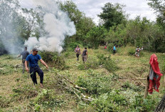 Warga Pelangkian Gotong Royong Siapkan Lokasi Pembangunan Masjid Hasan Husen