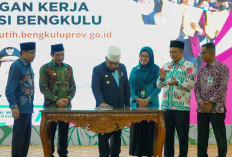 Solusi Bagi Pencari Kerja, Pemprov Bengkulu Luncurkan Loker Merah Putih