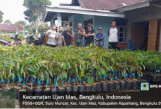 Pemdes Suro Muncar Bagikan Bibit Durian dan Alpukat