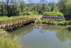 Pembangunan Jembatan Suro Bali Mangkrak, Kapan Dilanjutkan?