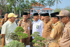 BKKB Gelar Festival Bonsai, Gubernur Dorong Hobi Punya Nilai Ekonomi