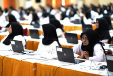 Honorer K2 dan Non-ASN Database BKN Diuntungkan Mekanisme Seleksi PPPK 2024 