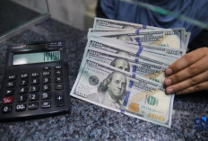 Indonesia Penghasil Dolar Namun Menderita Akibat Dolar