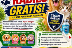 Catat Waktunya! Pemprov Bengkulu Gelar Vaksinasi Rabies Gratis