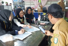 Sensus Ekonomi, Sasar Rumah Tangga, UMKM Hingga Petani