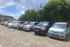 Ini Jadwal Pelaksanaan Lelang Puluhan Mobnas Pemkab Lebong