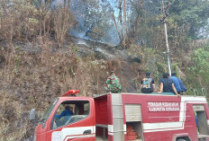 Lahan di Talang Pito Kepahiang kembali Terbakar