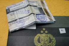 Cara Mengurus STNK Motor Listrik yang Mudah dan Cepat