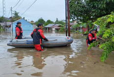  Kota Bengkulu Dikepung Banjir, Ketinggian Air Hingga 1,5 Meter 