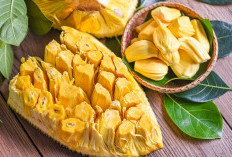 5 Khasiat Nangka, Bukan Sekadar Makanan Biasa  