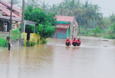 Diguyur Hujan Deras, Sejumlah Kawasan di Kota Bengkulu Terendam Banjir
