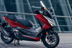 Honda Forza 250: Skutik Terbaru 2025, Cek Kelebihan dan Kekurangannya 