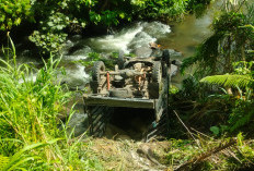 Mobil Carry Pick Up di Kepahiang Terperosok ke Sungai: Terkejut Lihat Lubang