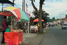 Harga Daging Ayam Potong Berangsur Turun 