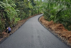 Dinas PUPR Bengkulu Tengah Anggarkan Rp 2,7 Miliar untuk Rehab Jalan dan Jembatan