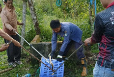 Sepanjang 2024, Total 11 Kasus Ditangani Damkar Kepahiang