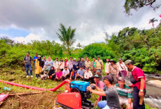 Dukung Program Ketahanan Pangan Desa: Ini yang Dilakukan 82 PPL Kabupaten Kepahiang