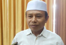 Kualitas Cabai Enggano Dinilai Lebih Baik