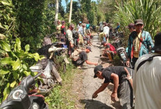 Bangun Jalan Usaha Tani: Warga Pungguk Meranti Gotong Royong