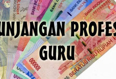 Penuhi Syaratnya, PPPK Guru Berpotensi Terima TPG