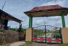 CSR Nihil Puluhan Tahun: 2 Desa Di Kabawetan Dukung Pemkab Kepahiang Ambil Alih Lahan Eks PT TUMS