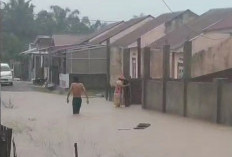 Dampak Siklon Tropis Anggrek, Waspada Potensi Banjir