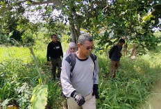 Seekor Beruang Menghilang? Warga Kepahiang Semakin Resah 