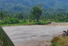 Sungai Ketahun Tercemar Ringan, Ini Penyebabnya