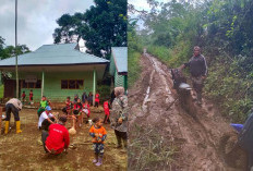 Akses Jalan Berlumpur, SDN 08 Muara Kemumu Kepahiang Tidak Ada PNS dan Butuh Guru Tambahan