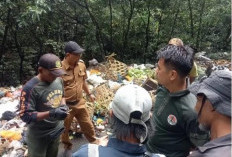  Sampah Menumpuk di Liku Sembilan, KPHL Bukit Daun Meradang 