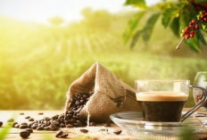 Waktu Minum Kopi yang Paling Tepat Menurut Dokter