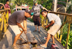 Warga 2 Desa di Kepahiang Gotong Royong Perbaiki Jembatan Gantung Penghubung Antar Desa