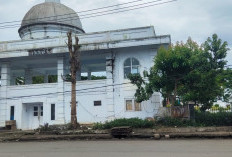 Kabel Listrik Menjuntai di Jalan Abu Hanifah Kepahiang Membahayakan