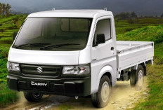 Keunggulan dan Spesifikasi Suzuki New Carry Pick-Up: Kendaraan Angkutan Terbaik dengan Performa yang Tangguh