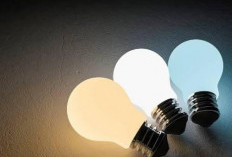  Mana yang Lebih Baik, Lampu Putih atau Kuning untuk Di Rumah? Begini Penjelasannya
