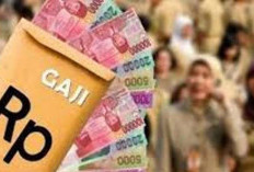 Dipastikan! Gaji PNS Naik Tahun 2025, Dua Bidang Ini Diprioritaskan