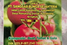 IKM Sanggar Bunga Sejahtera, Mampu Olah Produk Tomat Rasa Kurma