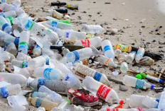 Berbahaya Bagi Kesehatan: Hindari Penggunaan Wadah Makanan Plastik dengan Kode Ini 