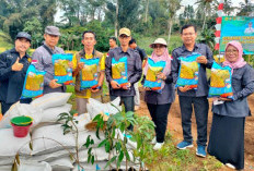 Kementerian Pertanian Salurkan Bantuan Antisipasi El Nino di Rejang Lebong