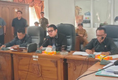 Siapa Nama Calon PAW Anggota DPRD Kepahiang dari Partai NasDem? Begini Kata Ketua DPRD Igor 