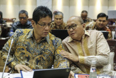 Pemerintah Fokus Hilirisasi untuk Dukung Target Pertumbuhan Ekonomi